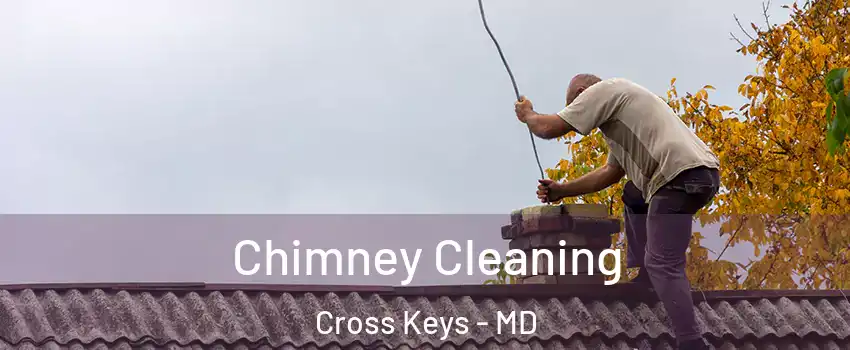 Chimney Cleaning Cross Keys - MD