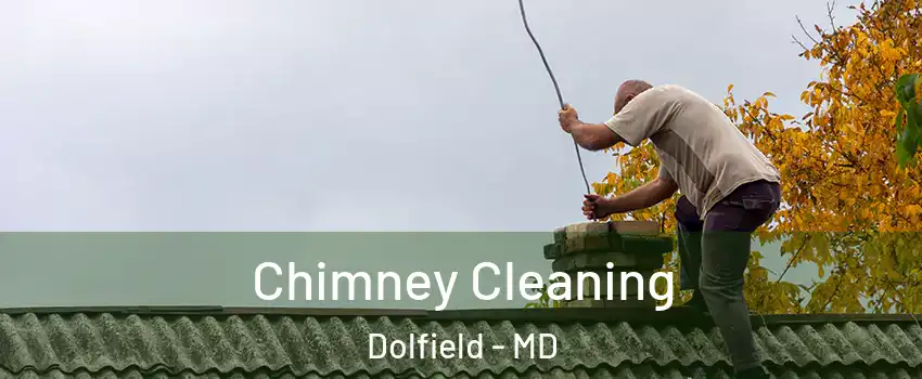 Chimney Cleaning Dolfield - MD