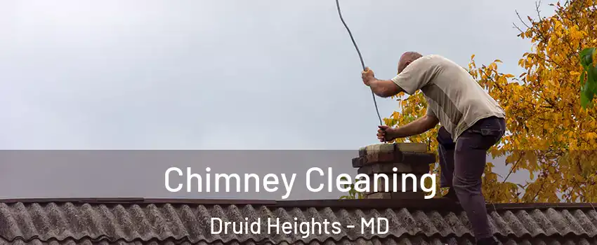 Chimney Cleaning Druid Heights - MD