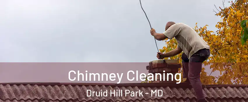 Chimney Cleaning Druid Hill Park - MD