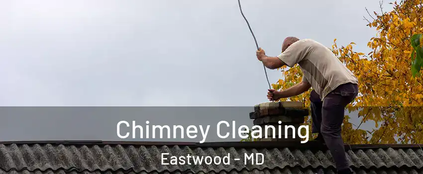 Chimney Cleaning Eastwood - MD