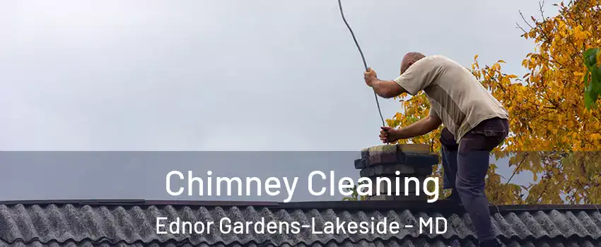 Chimney Cleaning Ednor Gardens-Lakeside - MD