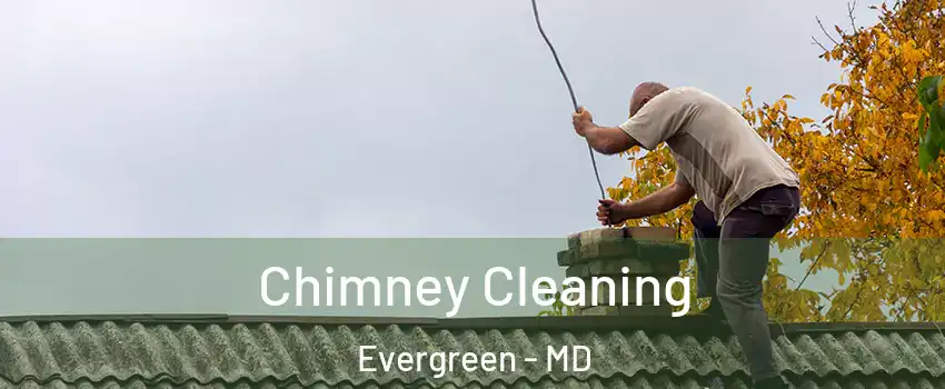 Chimney Cleaning Evergreen - MD
