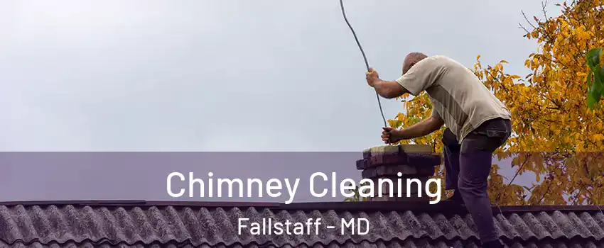 Chimney Cleaning Fallstaff - MD