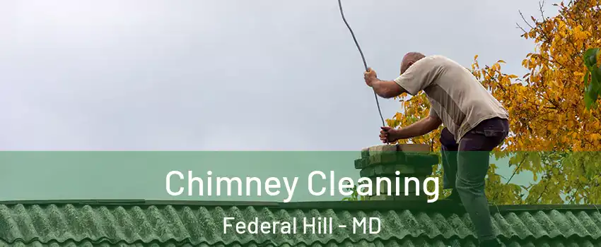 Chimney Cleaning Federal Hill - MD