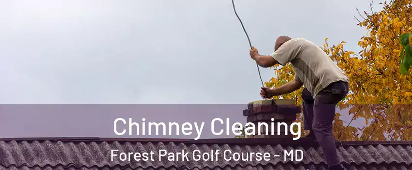 Chimney Cleaning Forest Park Golf Course - MD