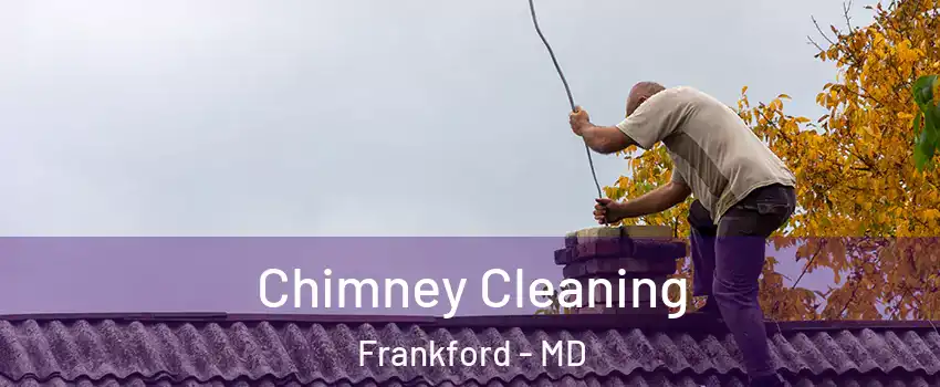 Chimney Cleaning Frankford - MD