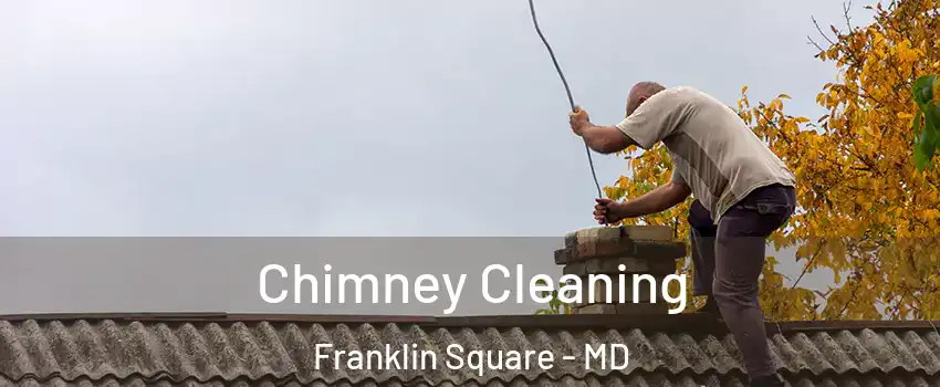 Chimney Cleaning Franklin Square - MD