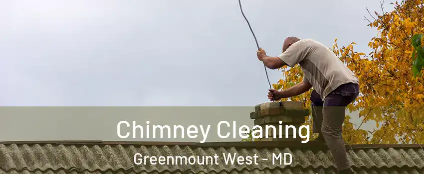Chimney Cleaning Greenmount West - MD
