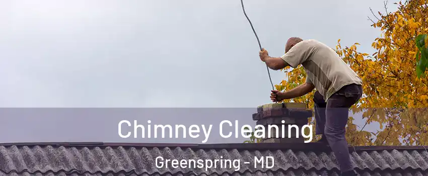 Chimney Cleaning Greenspring - MD