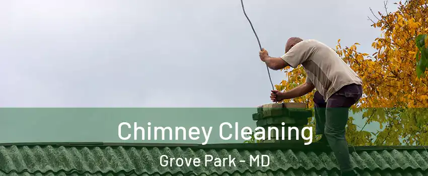 Chimney Cleaning Grove Park - MD