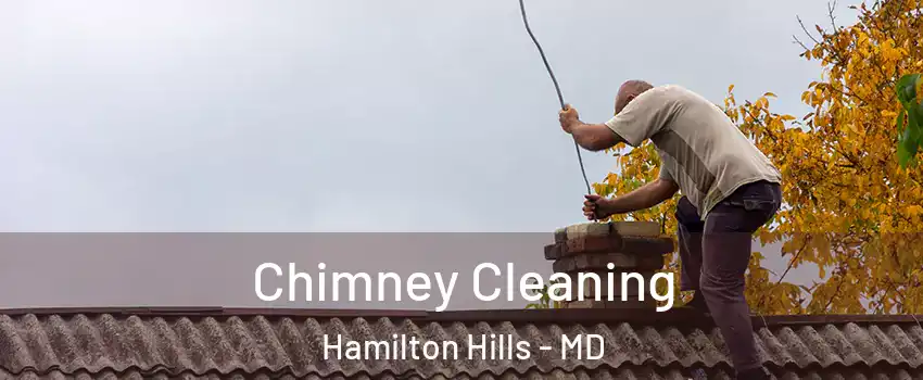 Chimney Cleaning Hamilton Hills - MD