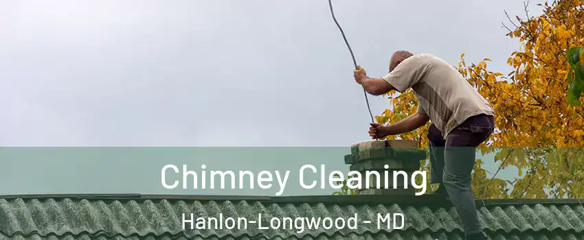 Chimney Cleaning Hanlon-Longwood - MD