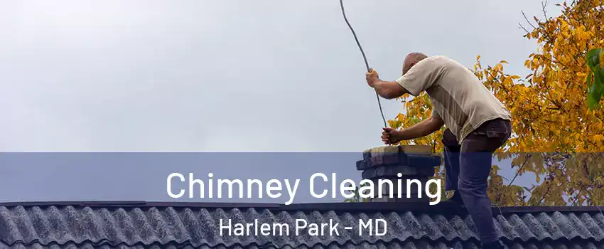 Chimney Cleaning Harlem Park - MD