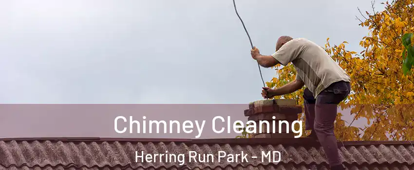 Chimney Cleaning Herring Run Park - MD
