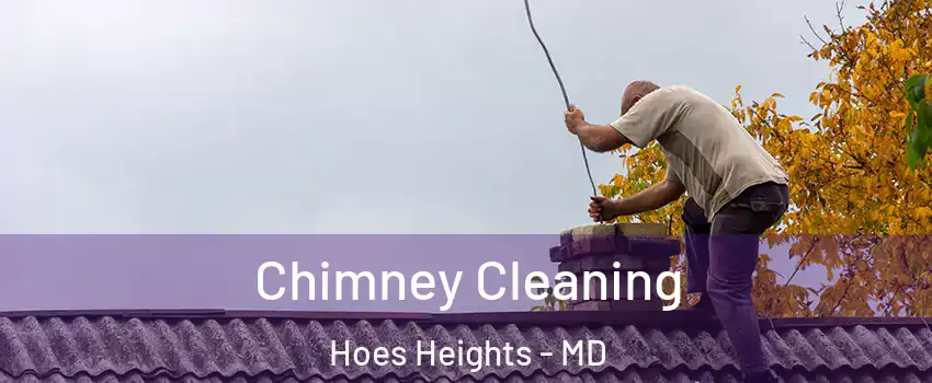 Chimney Cleaning Hoes Heights - MD