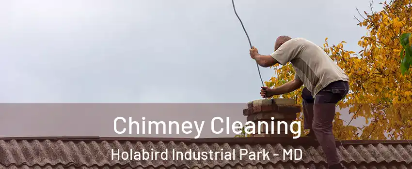Chimney Cleaning Holabird Industrial Park - MD