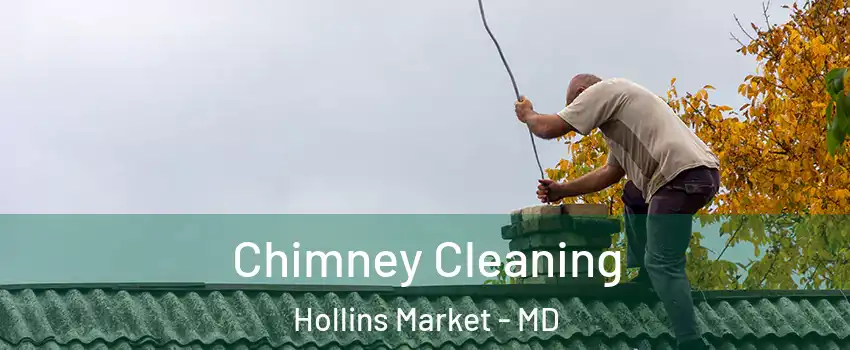 Chimney Cleaning Hollins Market - MD