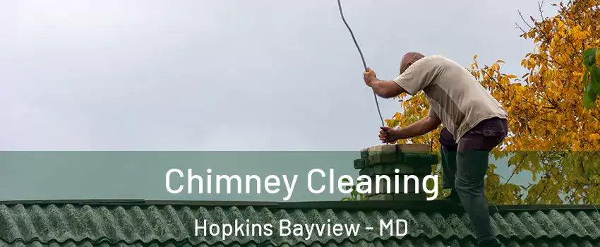 Chimney Cleaning Hopkins Bayview - MD