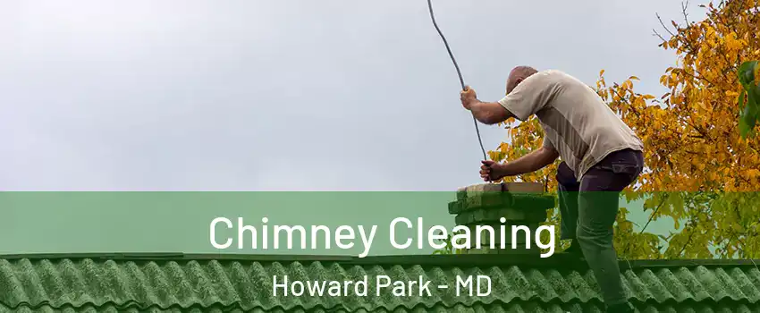 Chimney Cleaning Howard Park - MD