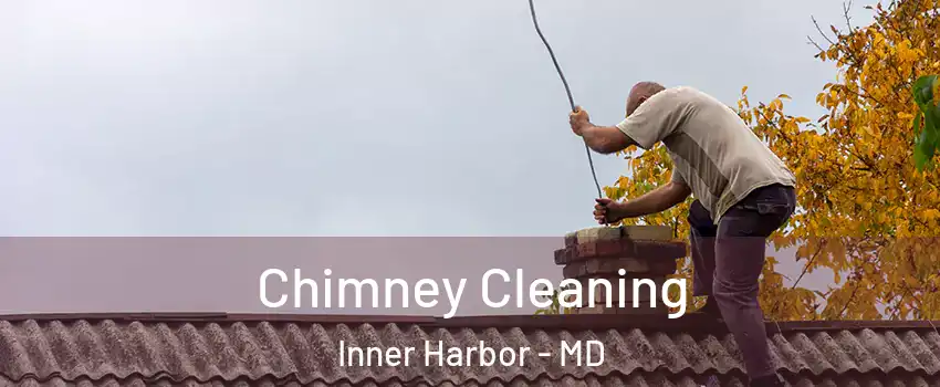 Chimney Cleaning Inner Harbor - MD