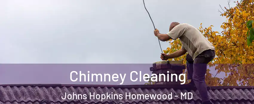 Chimney Cleaning Johns Hopkins Homewood - MD