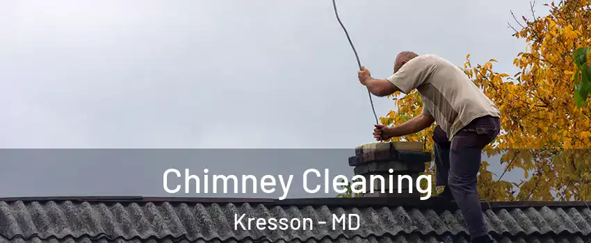 Chimney Cleaning Kresson - MD