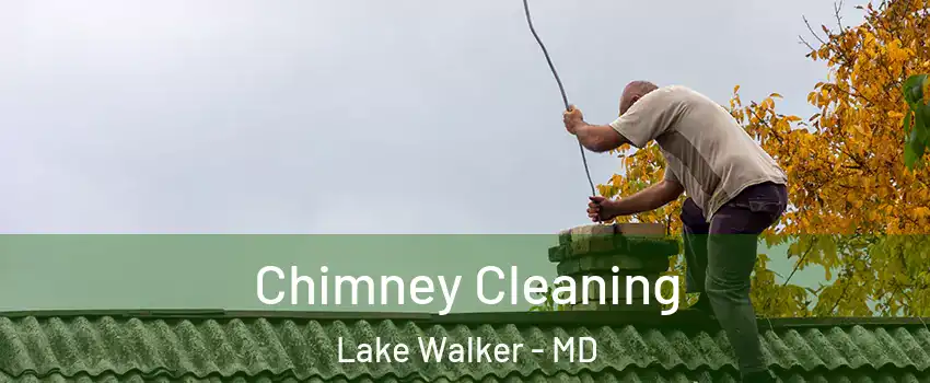 Chimney Cleaning Lake Walker - MD