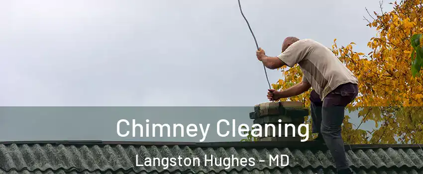 Chimney Cleaning Langston Hughes - MD
