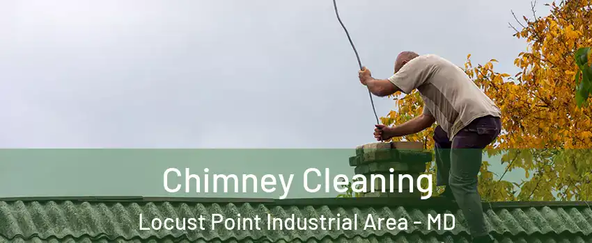 Chimney Cleaning Locust Point Industrial Area - MD