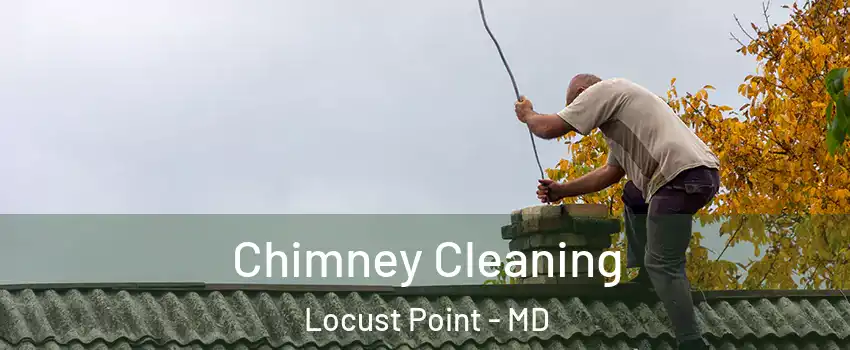 Chimney Cleaning Locust Point - MD