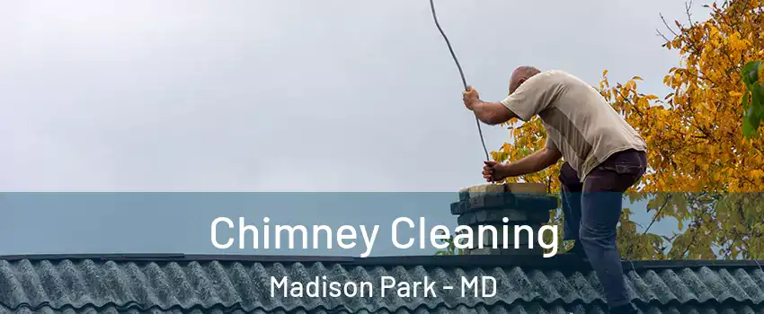 Chimney Cleaning Madison Park - MD