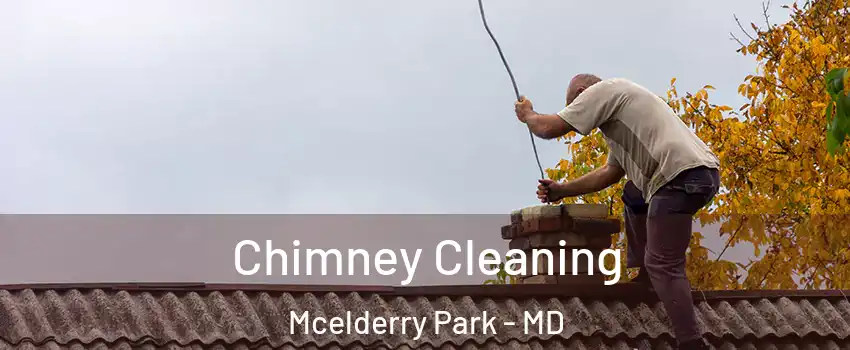 Chimney Cleaning Mcelderry Park - MD