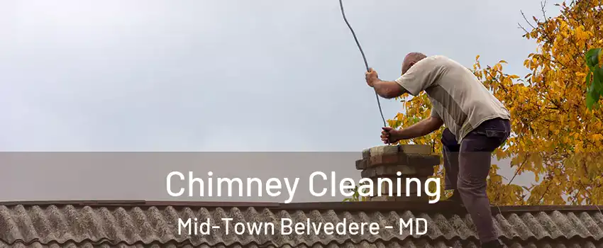 Chimney Cleaning Mid-Town Belvedere - MD