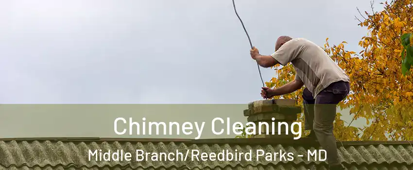 Chimney Cleaning Middle Branch/Reedbird Parks - MD