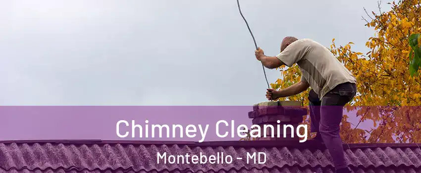 Chimney Cleaning Montebello - MD