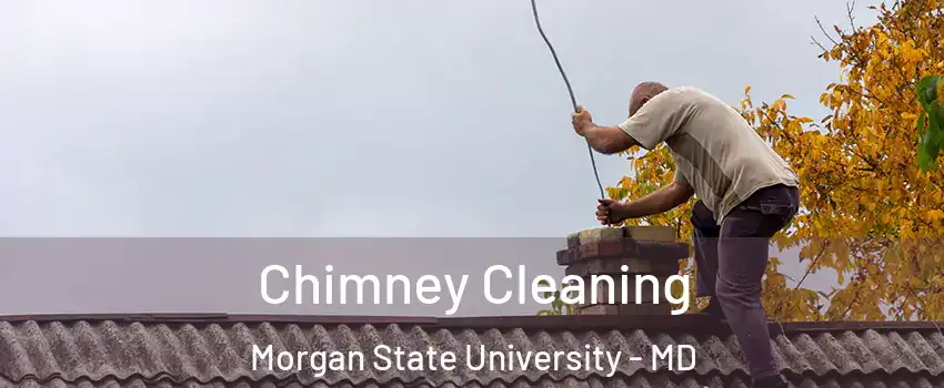 Chimney Cleaning Morgan State University - MD