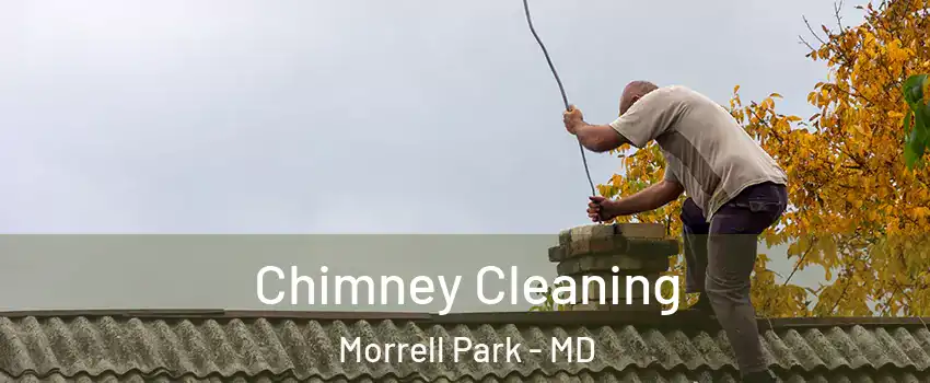 Chimney Cleaning Morrell Park - MD