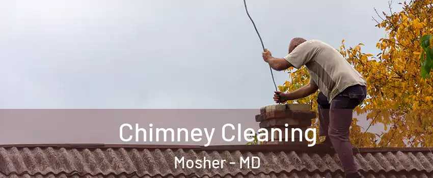 Chimney Cleaning Mosher - MD