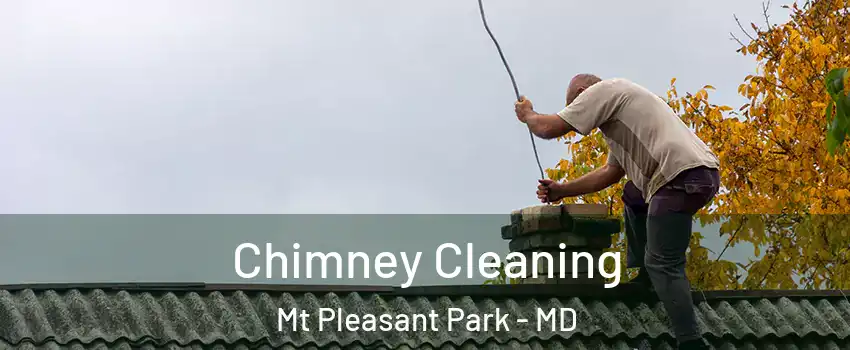 Chimney Cleaning Mt Pleasant Park - MD