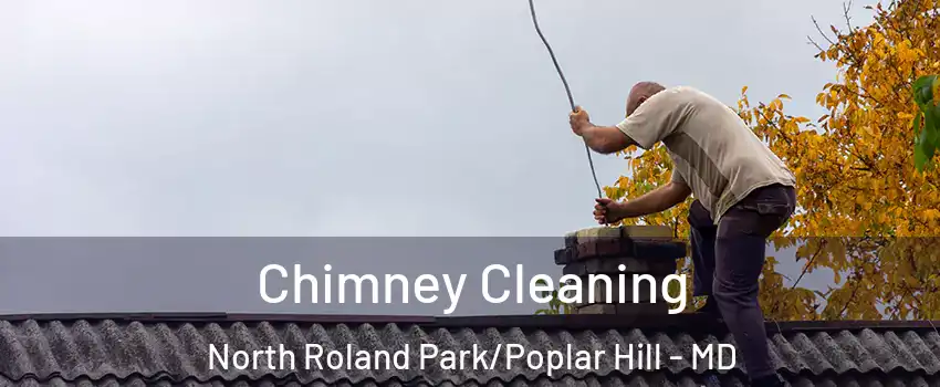 Chimney Cleaning North Roland Park/Poplar Hill - MD