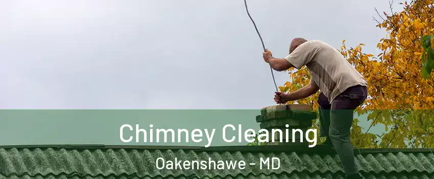 Chimney Cleaning Oakenshawe - MD