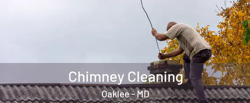 Chimney Cleaning Oaklee - MD