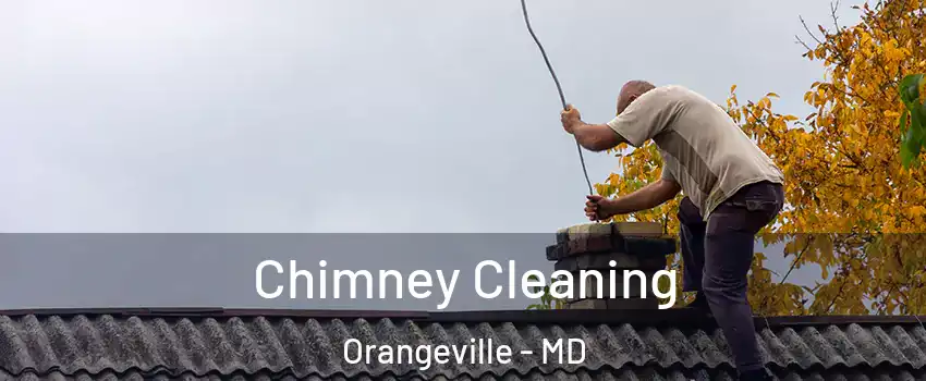 Chimney Cleaning Orangeville - MD