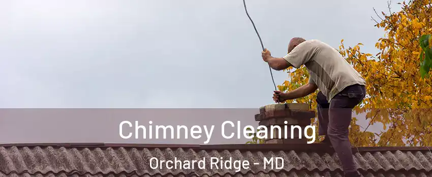 Chimney Cleaning Orchard Ridge - MD