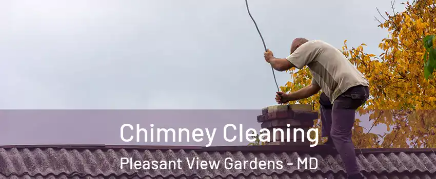 Chimney Cleaning Pleasant View Gardens - MD