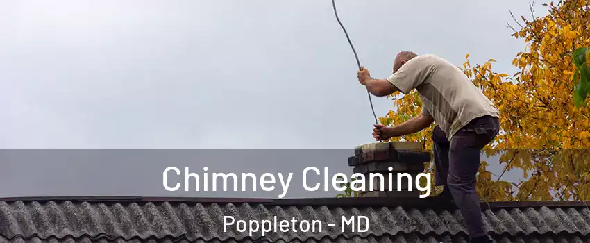 Chimney Cleaning Poppleton - MD