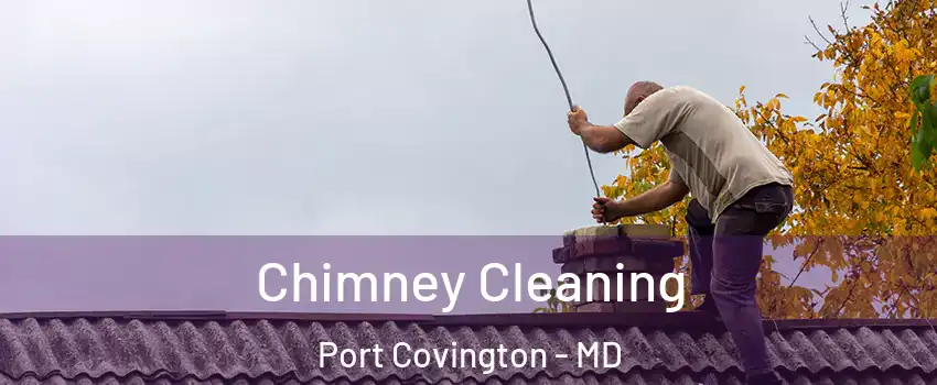 Chimney Cleaning Port Covington - MD
