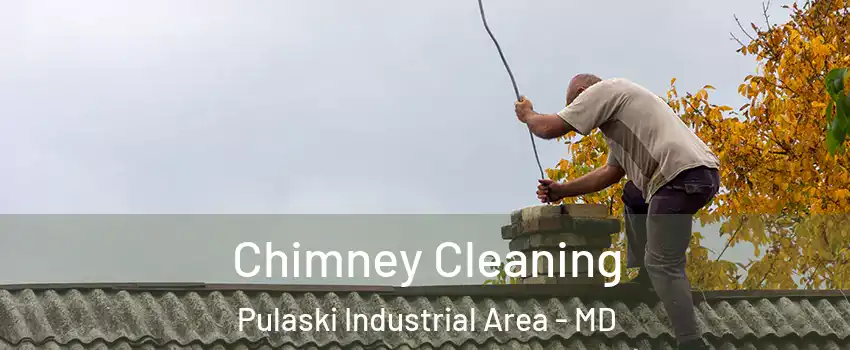 Chimney Cleaning Pulaski Industrial Area - MD