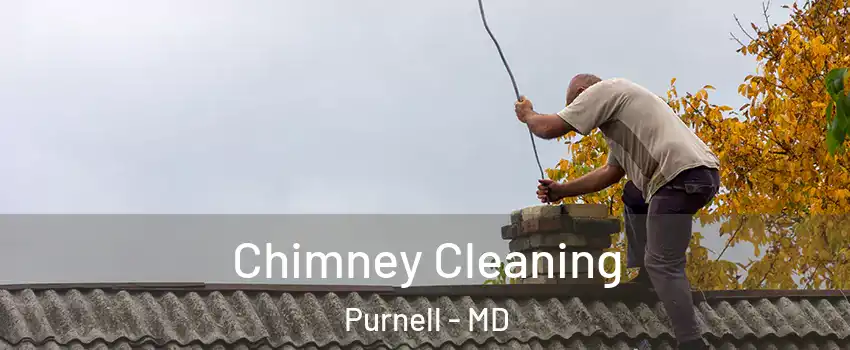 Chimney Cleaning Purnell - MD